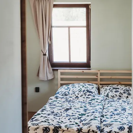 Apartment Borovice