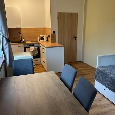 Apartment Borovice