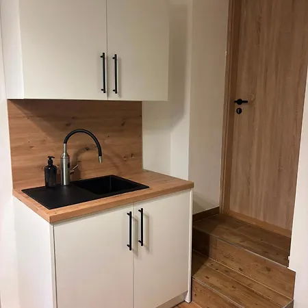 Apartment Borovice *